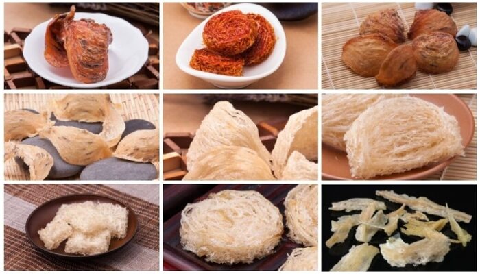 cac-loai-yen-sao-pho-bien-01