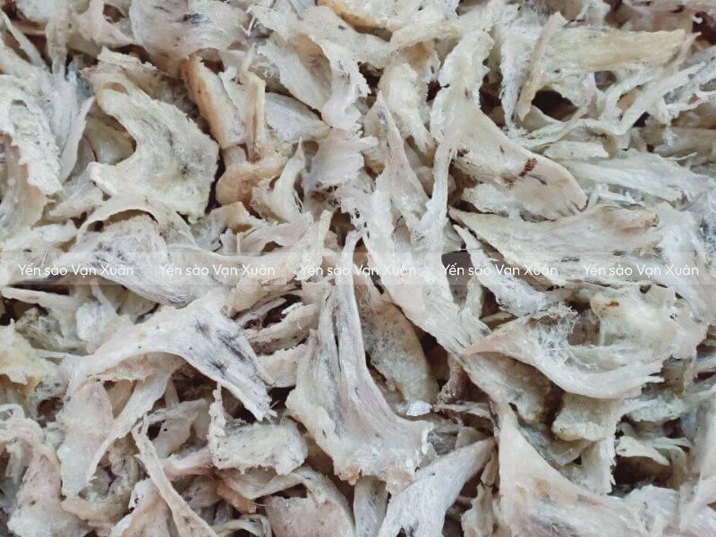 Giá tổ yến sào mới nhất? 1 lạng yến bao nhiêu tiền? 10 Giá yến vụn thường sẽ "mềm" hơn rất nhiều so với các loại tổ yến khác