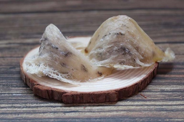 tai-sao-goi-la-yen-sao-2