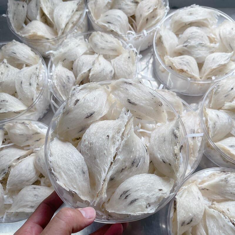 Tổ yến thô chọn lọc VIP siêu ít lông hộp 50gr - 100gr 4 Tổ ít lông, ít tạp chất, sơ chế dễ dàng