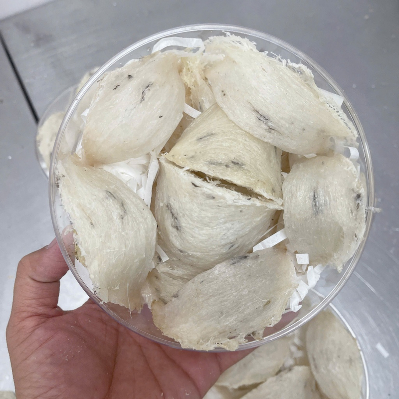 Tổ yến thô chọn lọc VIP siêu ít lông hộp 50gr - 100gr 3 Tổ yến già, đanh, siêu ít lông