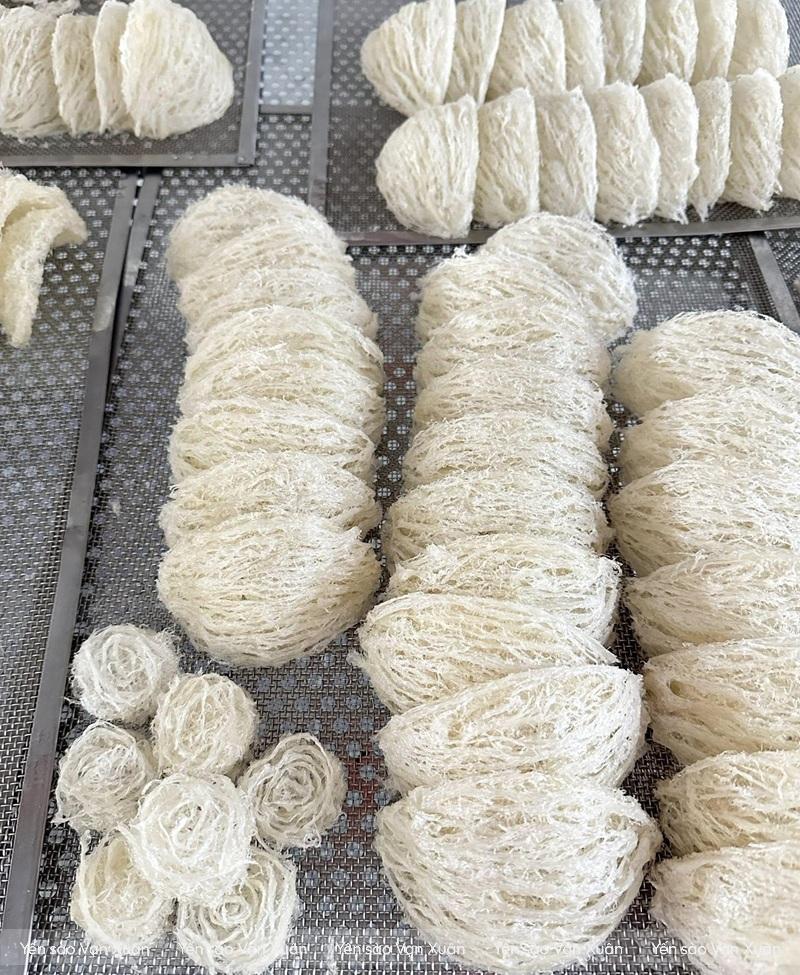 Tổ yến tinh chế loại 1 sợi dài 50g-100g 19 Tổ yến trên giàn sấy lạnh