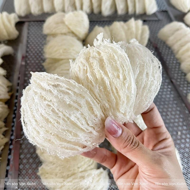 Tổ yến tinh chế loại 1 sợi dài 50g-100g 20 Tổ yến đã được sấy khô và kiểm tra chất lượng