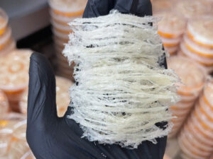 Yến tinh chế loại 2 50g-100g 3 to-yen-tinh-che-loai-2-02