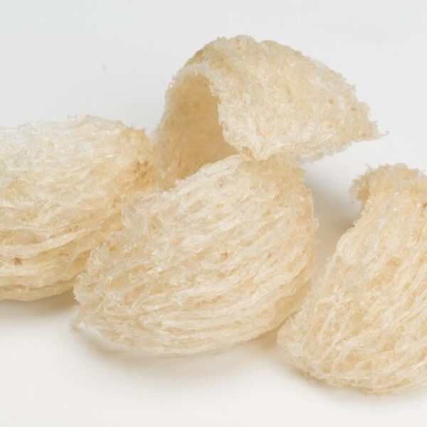 Tổ yến tinh chế loại 1 50g-100g