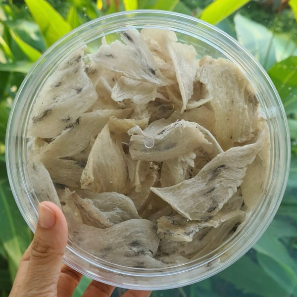 Chân yến thô cao cấp hộp 50gr-100gr 15 chan yen tho 05