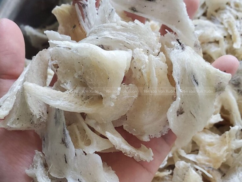Chân yến thô cao cấp hộp 50gr-100gr 19 Chân yến thô phù hợp với hầu hết mọi người