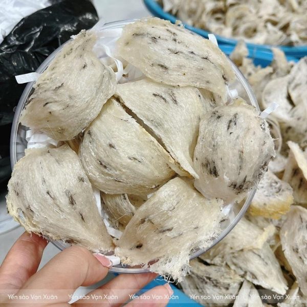 Tổ yến thô loại 1 nguyên tổ 50gr - 100gr 11 Mỗi tổ yến thô loại 1 được chọn lọc kỹ càng