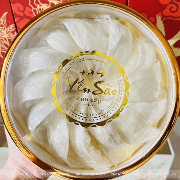 Cận cảnh yến tinh chế rút lông khô nguyên tổ