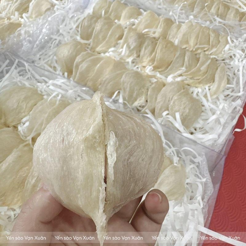 Mặt trước yến rút lông khô nguyên tổ tại xưởng