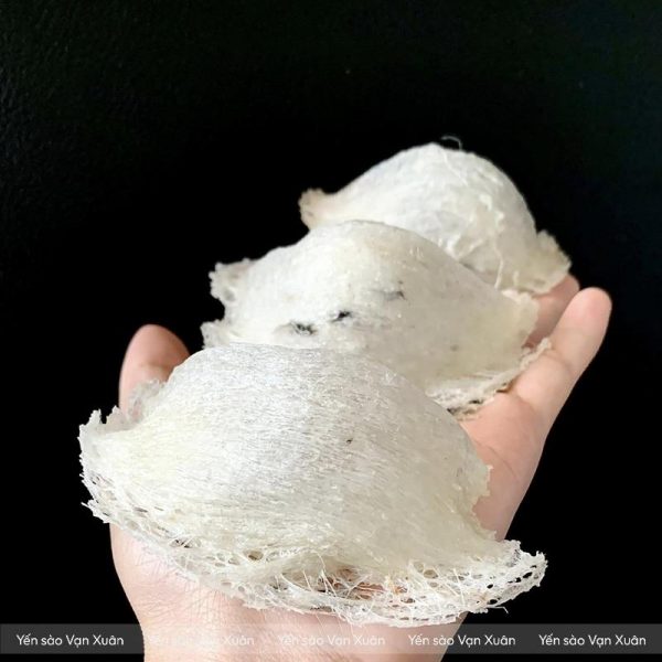 Để làm được yến rút lông khô, tô yến thô phải được chọn rất kỹ càng, ít lông, ít tạp chất