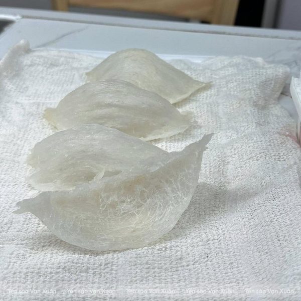Bụng yến rút lông khô
