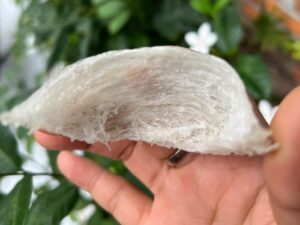 yen-tinh-che-kho-nguyen-to-vip-05