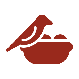 bird nest