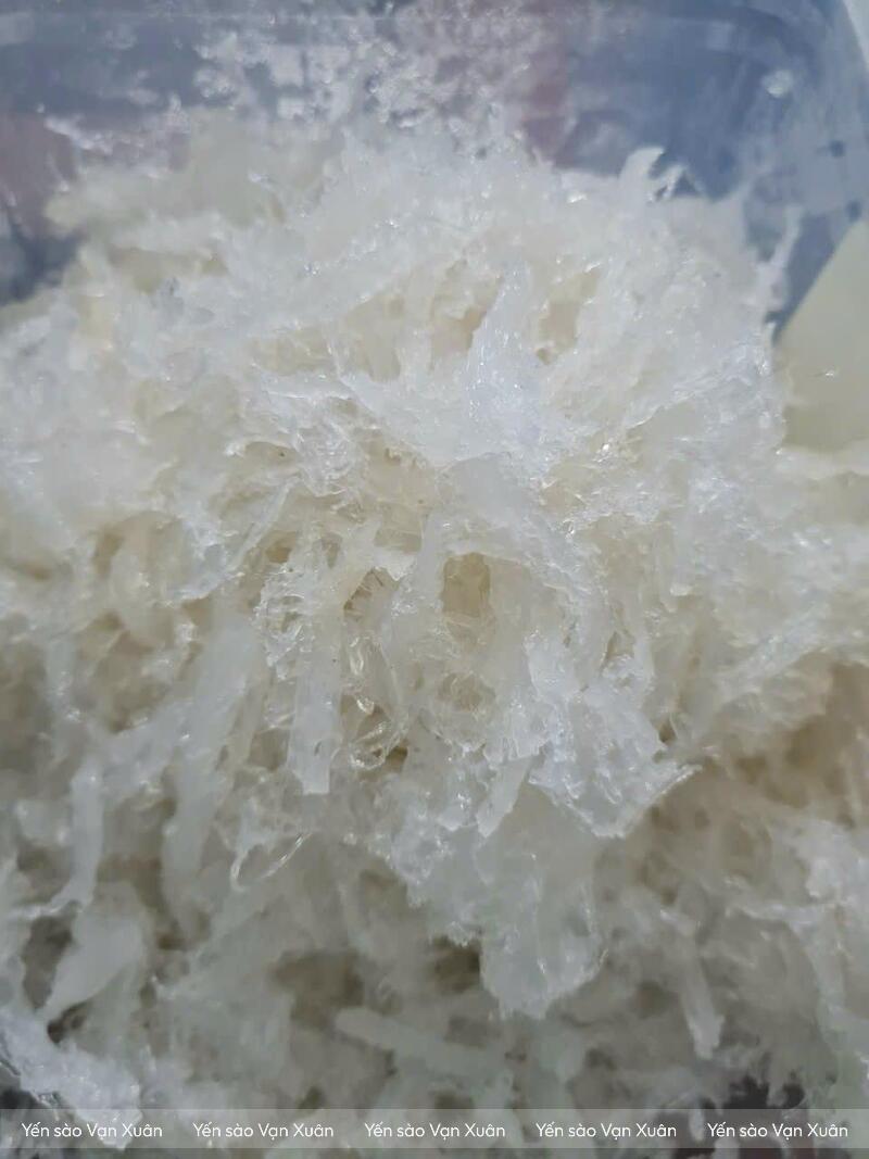 Thành phẩm sợi yến tinh chế đã được làm sạch