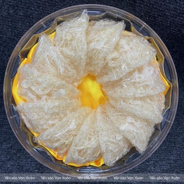 Hộp 100gr yến tinh chế sợi rối chân