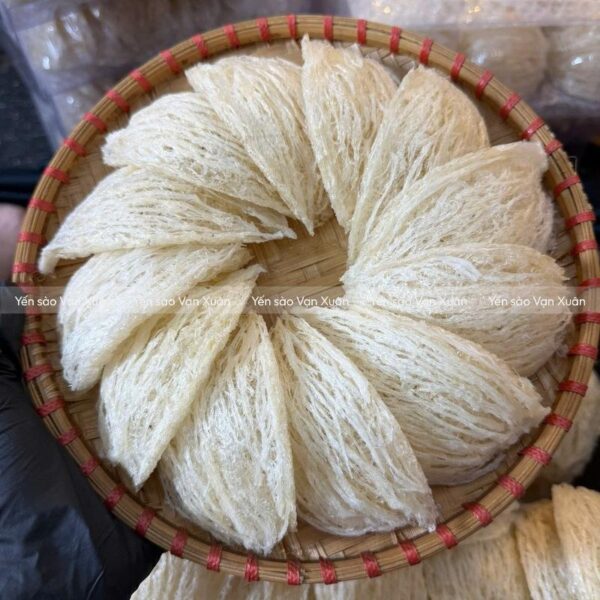 Tổ yến tinh chế loại 1 sau khi được sấy khô
