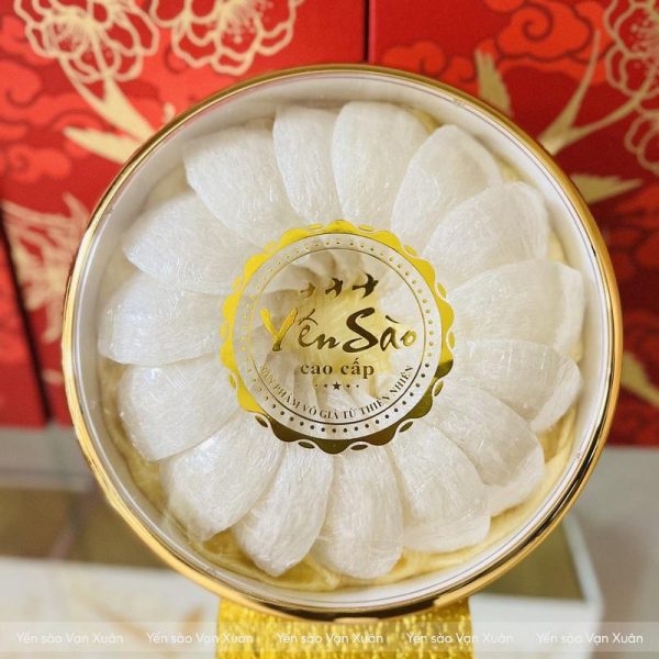 Hộp 100gr yến tinh chế rút lông định hình A5 xuất khẩu
