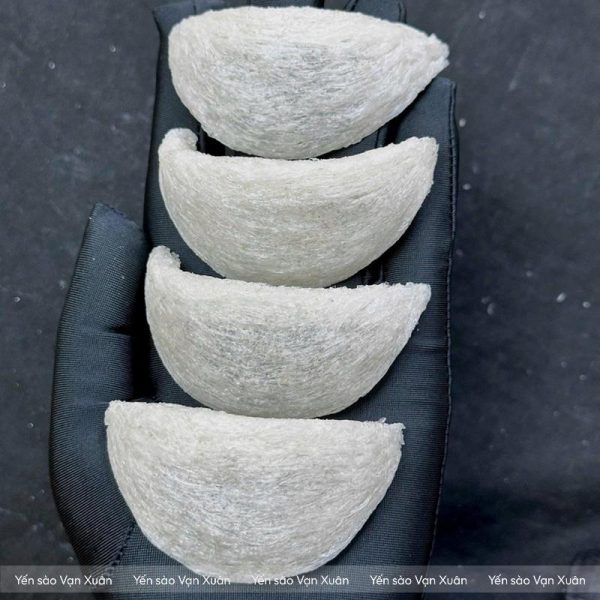 Tổ yến tinh chế định hình A5 xuất khẩu 26 Yến tinh chế A5 mới qua quá trình sấy lạnh