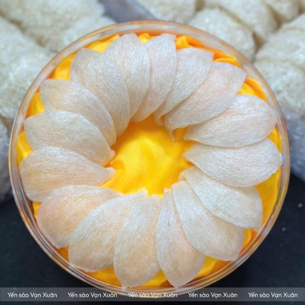 Tổ yến tinh chế định hình A5 xuất khẩu 23 Cận cảnh tổ yến tinh chế A5 tại xưởng