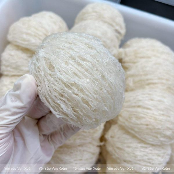 Sợi yến dài, dày, đều