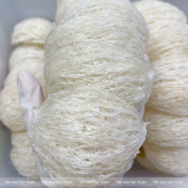 Tổ yến rút lông nước mới sấy lạnh xong