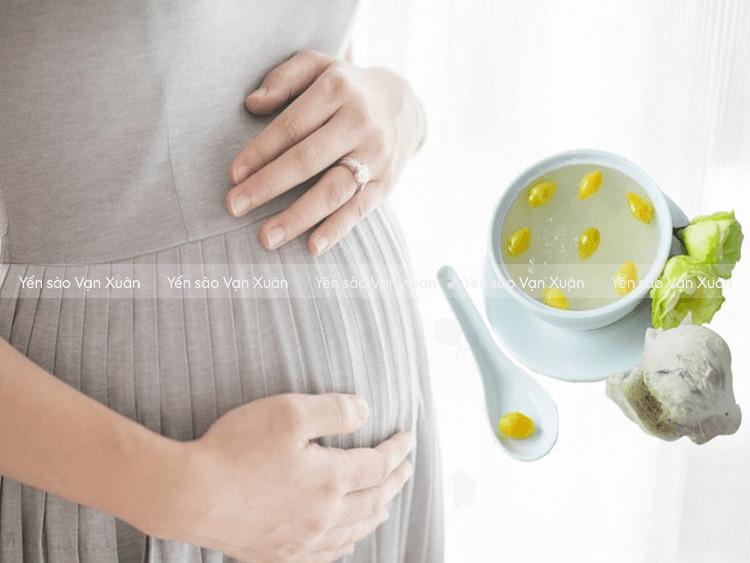 Yến sào cũng rất tốt cho bà bầu và thai nhi