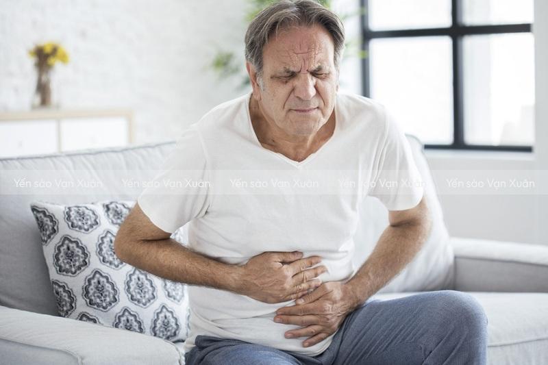 Những ai không nên ăn yến sào, nước yến? Đối tượng cần lưu ý 11 Người già có hệ tiêu hoá kém không nên ăn yến