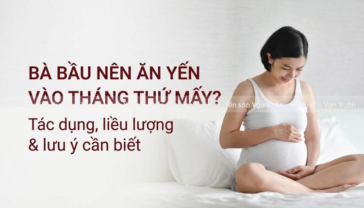 Bà bầu nên ăn yến vào tháng thứ mấy? Tác dụng, liều lượng & lưu ý cần biết