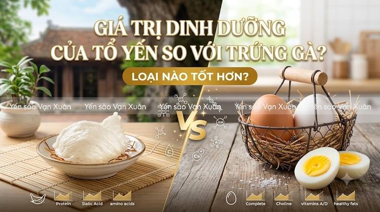 gia-tri-dinh-duong-cua-to-yen-so-voi-trung-ga-03