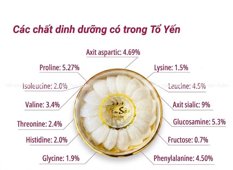 Yến sào có nhiều dưỡng chất tốt cho người lớn