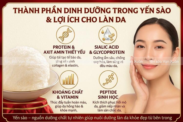 Yến sào có nhiều dưỡng chất giúp khoẻ trong, đẹp ngoài