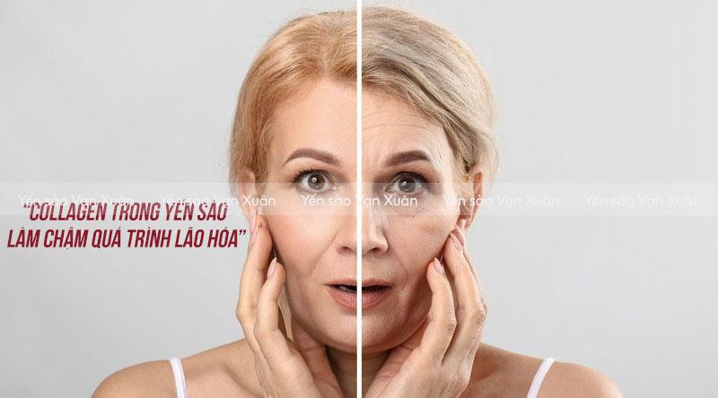 Tổ yến có tác dụng gì cho da? 7 lợi ích làm đẹp da ít người biết 10 Tổ yến góp phần làm chậm quá trình lão hoá da