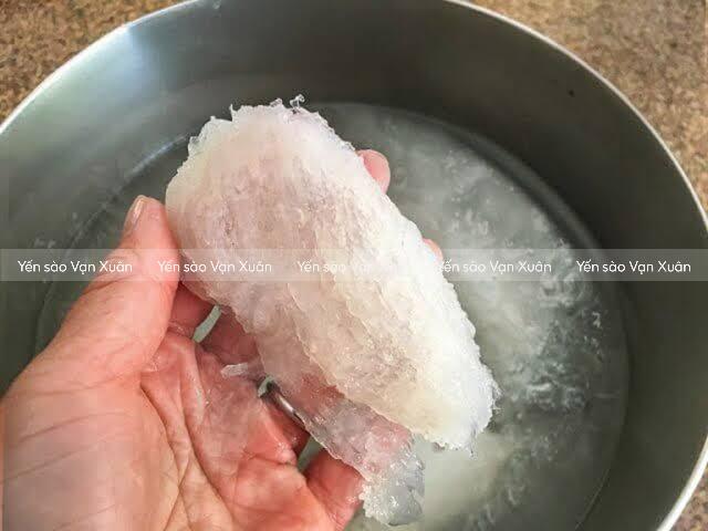 Tổ yến kỵ với thực phẩm nào? Những điều kiêng kỵ cần lưu ý 9 Không dùng nước sôi để ngâm yến
