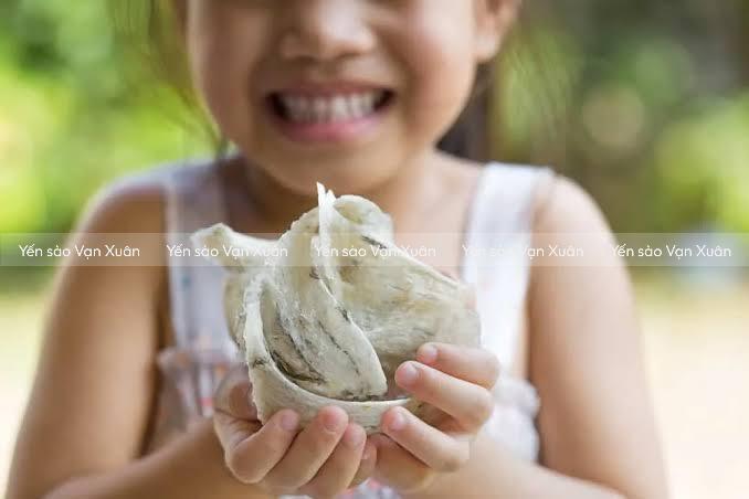 Trẻ em ăn yến có bị dậy thì sớm không? Sự thật cha mẹ cần biết 13 Tổ yến mang lại nhiều lợi ích cho trẻ em