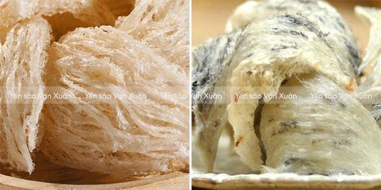 Nên mua yên thô hay yến tinh chế? Cách phân biệt chi tiết từng loại 9 yen-tinh-che-va-yen-tho-02