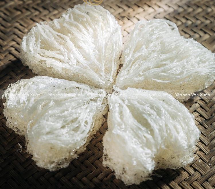 Nên mua yên thô hay yến tinh chế? Cách phân biệt chi tiết từng loại 8 Hình dáng tổ yến tinh chế có thể thay đổi tuỳ xưởng