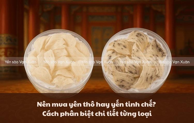 Yến tinh chế là gì? Phân biệt yến tinh chế và yến thô, nên mua loại nào? - 1