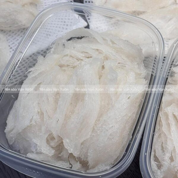 Yến chưng tươi nóng hạt chia táo đỏ 13 Yến tươi được sơ chế sạch sẽ, vắt ráo