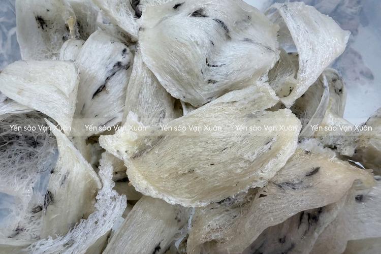 Cách bảo quản yến thô, yến tươi, yến tinh chế, yến đã chưng lâu, không bị mất chất 10 Để sử dụng yến thô lâu dài, tốt nhất bạn nên bảo quản trong ngăn mát tủ lạnh