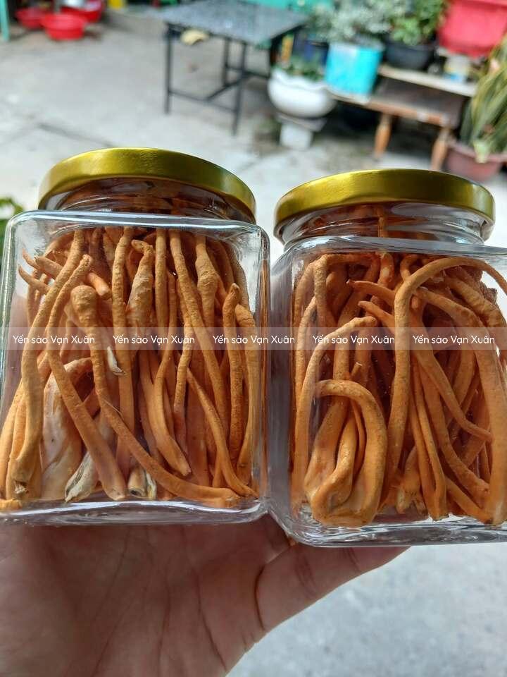 Cách chưng yến với đông trùng hạ thảo và táo đỏ thơm ngon, bổ dưỡng 12 Đông trùng hạ thảo tuỳ loại sử dụng để chưng yến