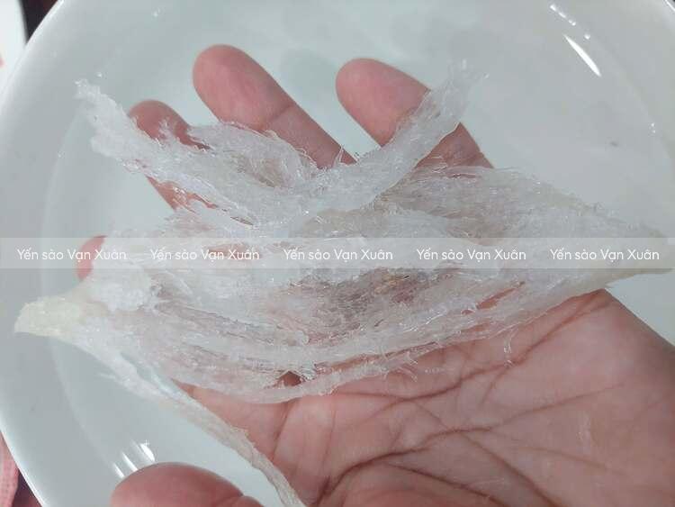 Cách nhặt lông yến bằng dầu ăn đơn giản, dễ thực hiện 12 Tổ yến khi đã làm sạch bằng cách thêm ít dầu ăn