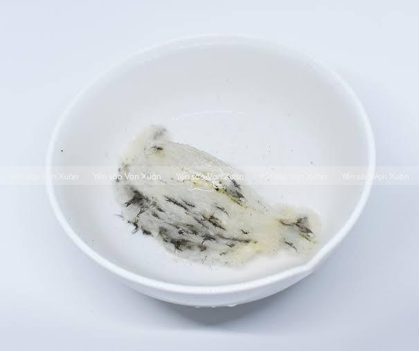 Hướng dẫn cách nhặt lông yến nhanh, không mất chất hiệu quả 17 Tổ yến càng ít lông nhặt càng nhanh
