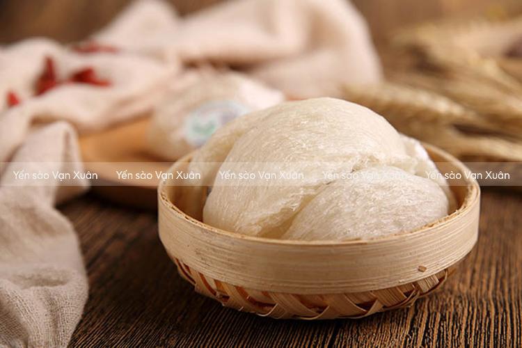 Chân yến là gì? Chân yến và tổ yến cái nào tốt hơn? Nên chọn loại nào 12 Chọn tổ yến nếu ưu tiên về hình thức