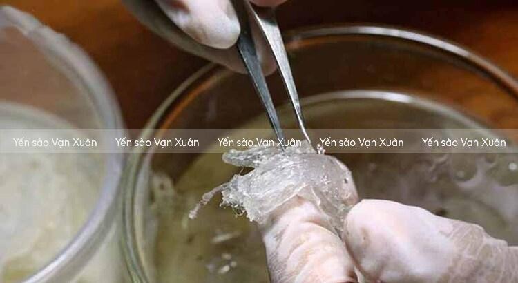Nên mua yến tươi hay yến khô? Loại nào tốt hơn? 19 Yến tươi phù hợp dùng trong thời gian ngắn