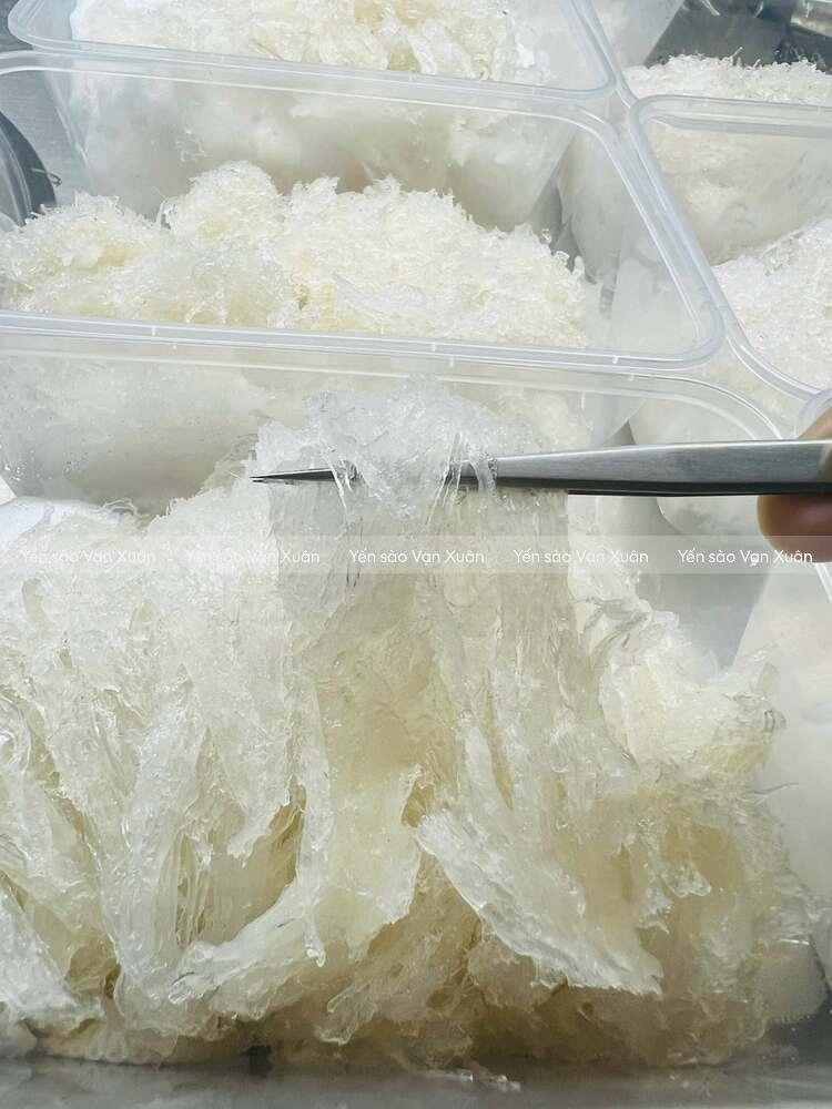Nên mua yến tươi hay yến khô? Loại nào tốt hơn? 20 Yến tươi đã được sơ chế sạch sẽ