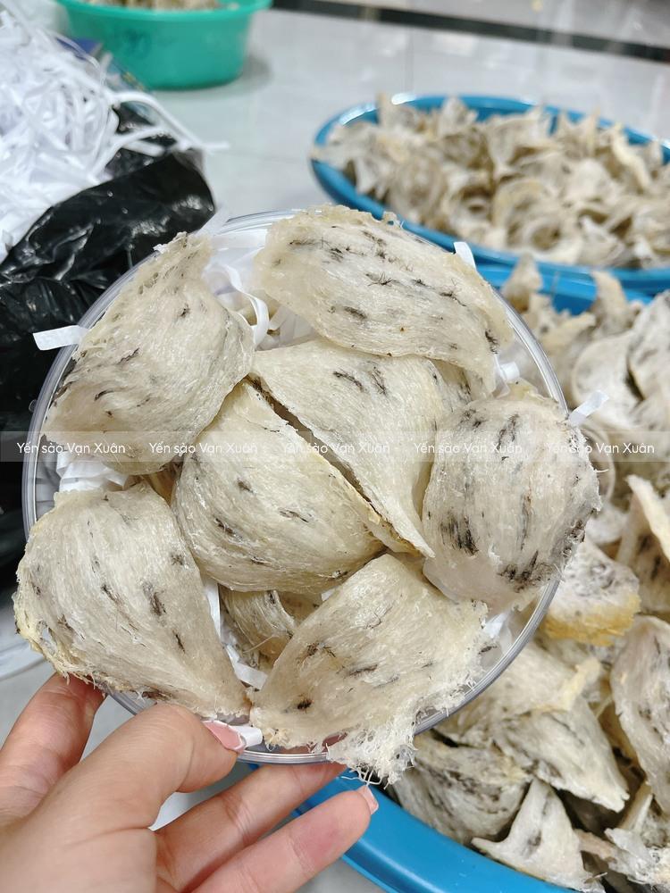 Hình ảnh tổ yến thô thật