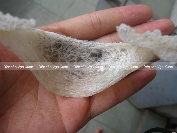 yen-tho-co-lam-gia-duoc-khong-03