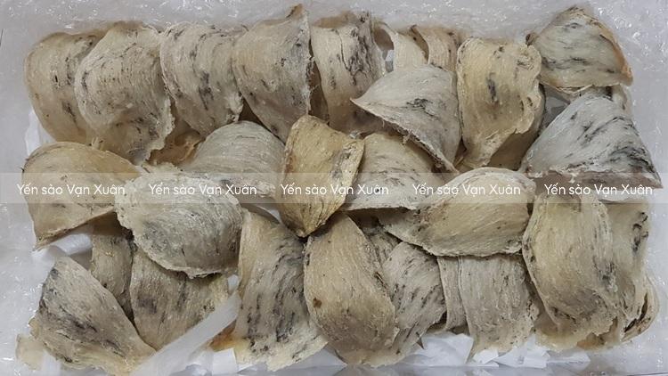 Tổ yến thô thật có hình dáng, cấu trúc và màu sắc không đồng đều với nhau