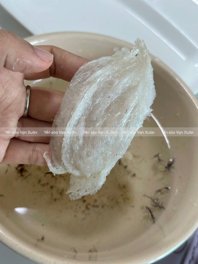 Ngâm yến tại nhà là 1 trong những cách nhận biết yến chất lượng
